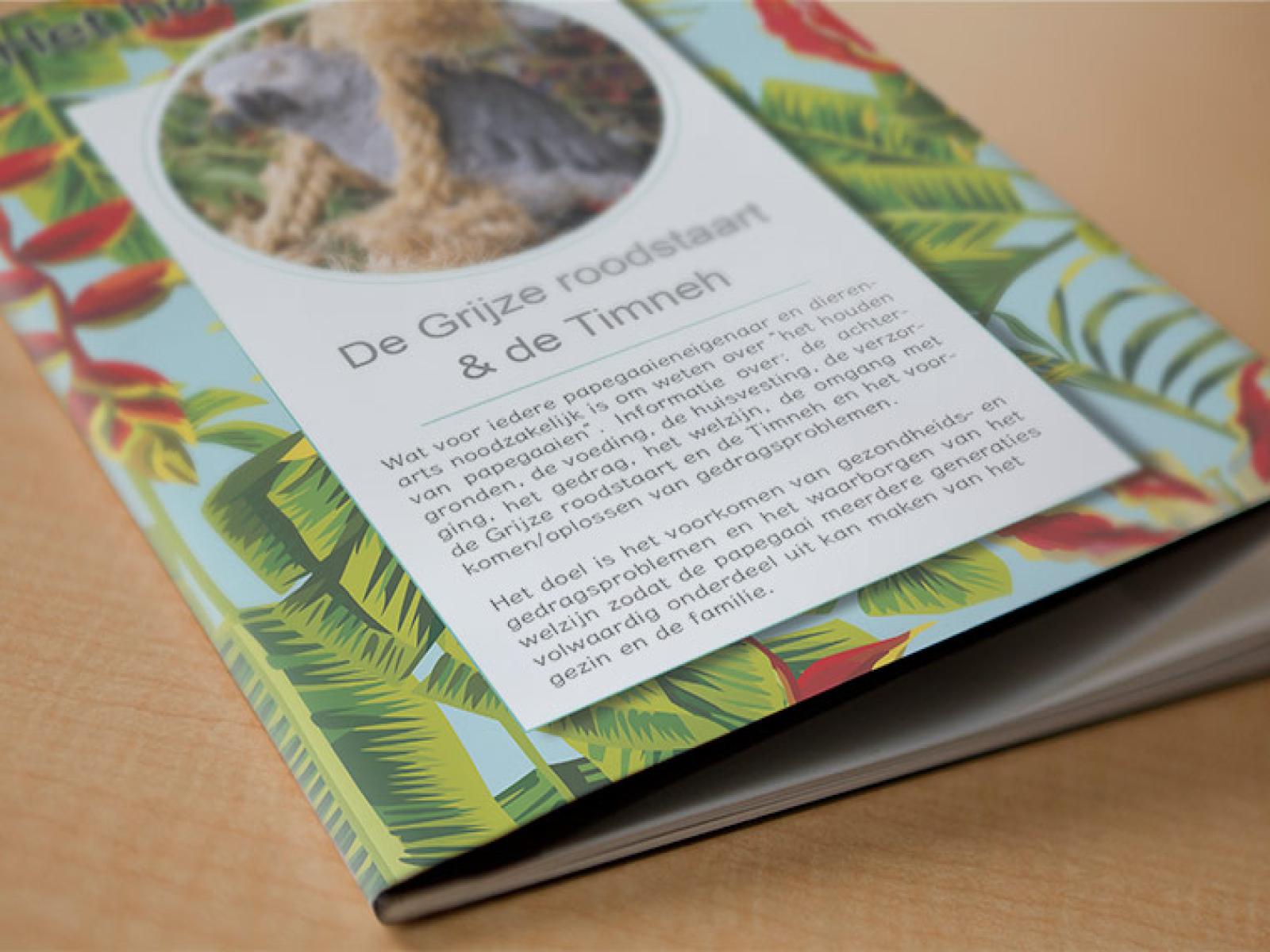 brochure-grijze-roodstaart