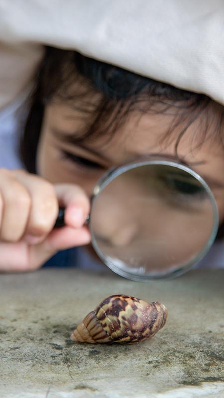 headerimage-seo-en-geo_klein-scherm