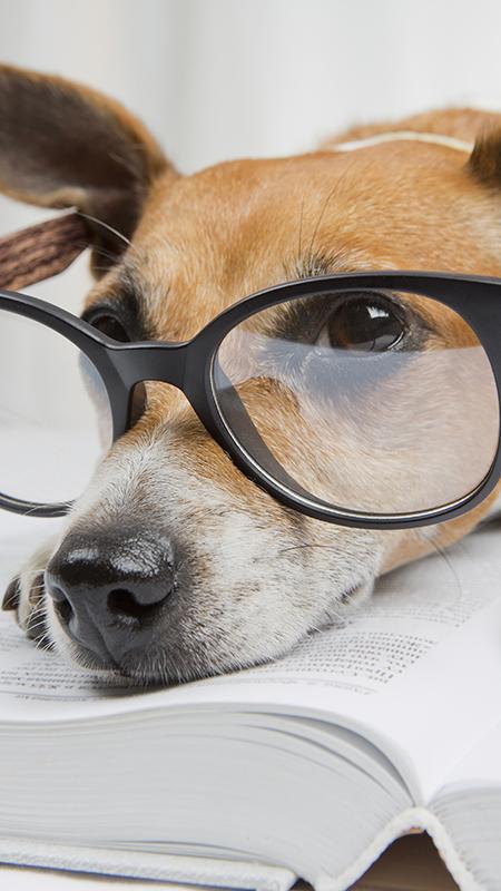 headerimage-website-training-(klein-scherm)