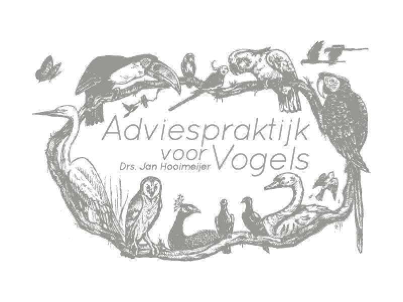 referentie-adviespraktijk-voor-vogels-(1)
